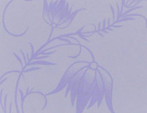 矽藻泥(ni)藝術塗(tu)料002