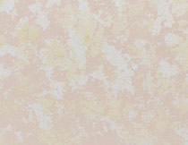 珍珠閃光石塗(tú)料002