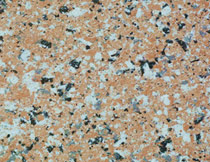 仿(pang)花崗岩塗料(liao)